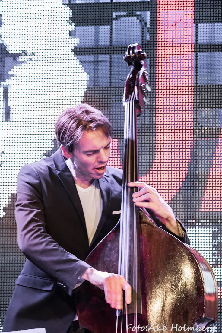 Morten Ankarfeldt-1.jpg